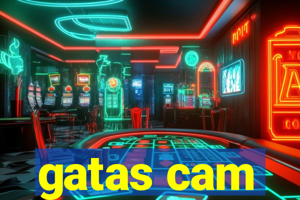 gatas cam